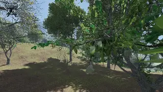 菜鸟速成宝典：逐鹿中原基础操作全攻略，告别小白，称霸一方！